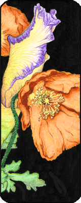 Poppies and Iris Bud (book marker #0490809)