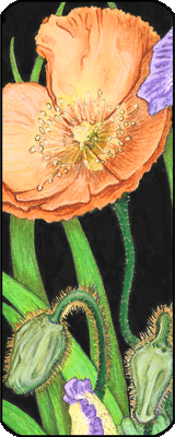 Poppy Flower (book marker #0500809)