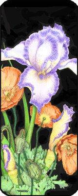 Poppy and Iris Flowers (book marker #0610809)