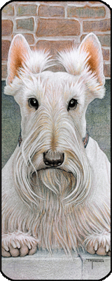 Riley (Scottish Terrier) (book marker #0520809)