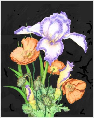 Flowers: Iris & Poppies (print #0400602)