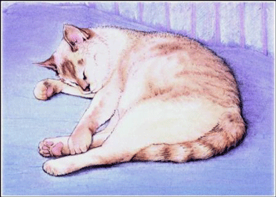 A cat sleeping on a blanket (print #0360607)